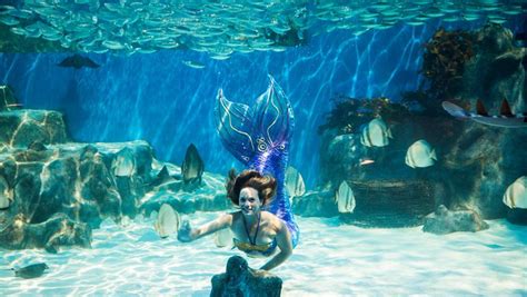 Unleash Your Imagination with Mermaid Skorkel Charters